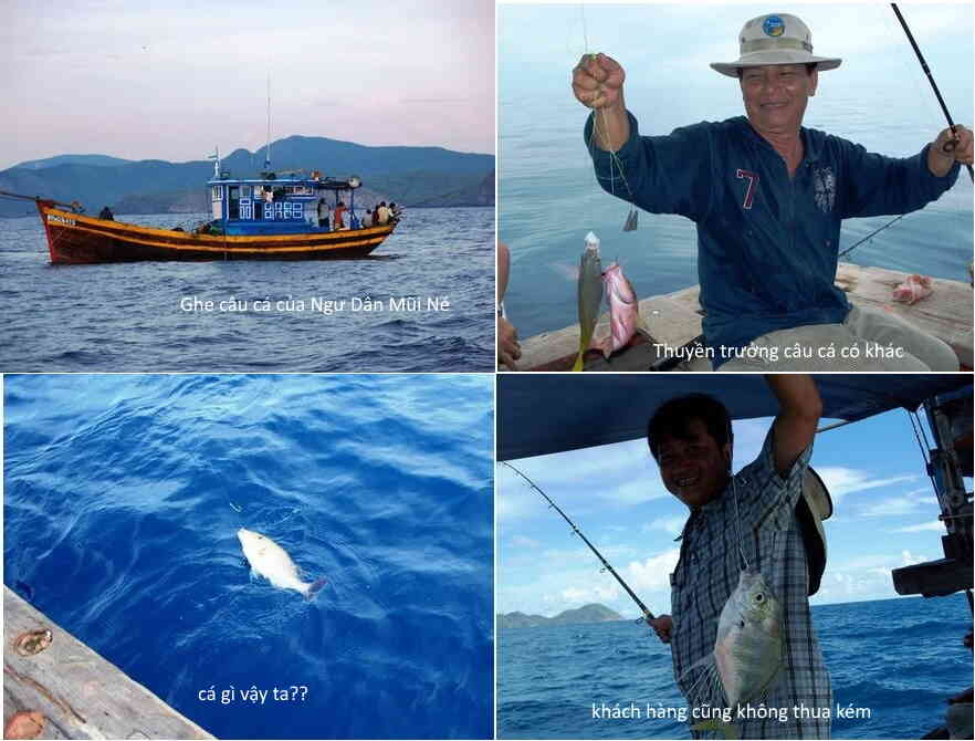 Trải Nghiệm Cảm Giác Làm Ngư Dân với Tour Câu Cá Biển Tại Mũi Né Phan Thiết Bình Thuận