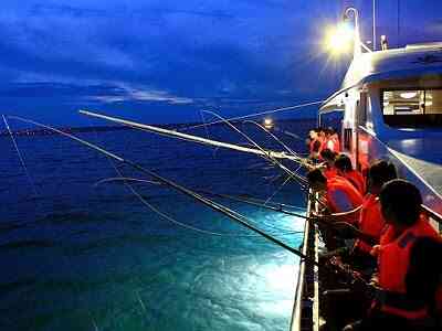 Khi bóng đêm buông xuống, tàu sẽ bật đèn để thu hút cá và mự