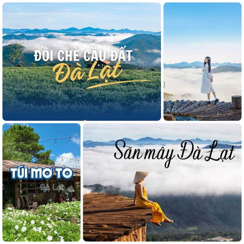 Hướng Trại Mát – Cầu Đất (Săn Mây)