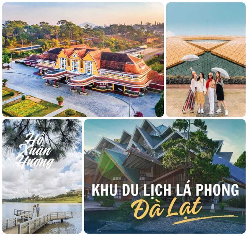 Khu vực Trung tâm & Gần Trung tâm
