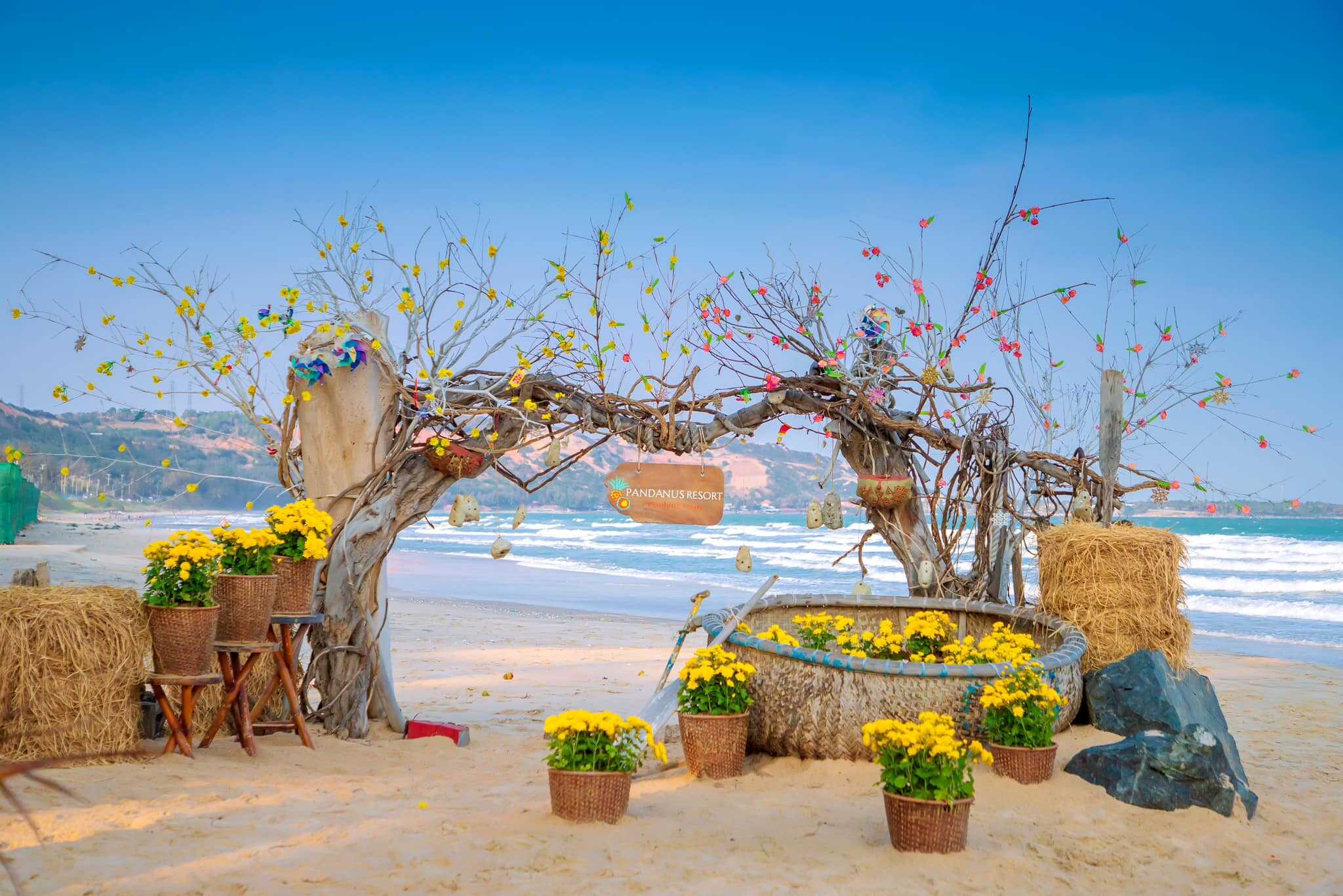 Pandanus Resort – Nơi Di Sản Chăm Pa Giao Thoa Cùng Biển Xanh