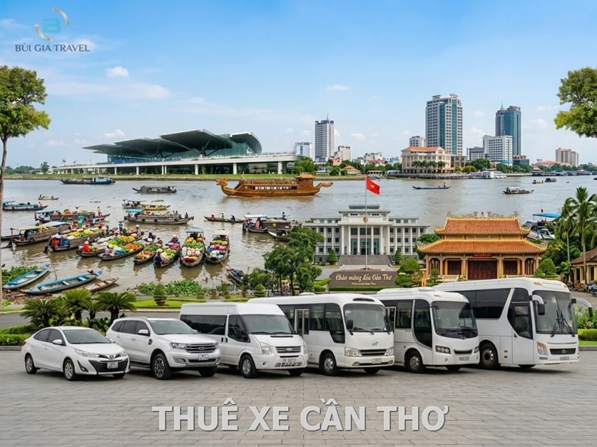Dàn Xe Đời Mới, Sạch Sẽ & An Toàn
