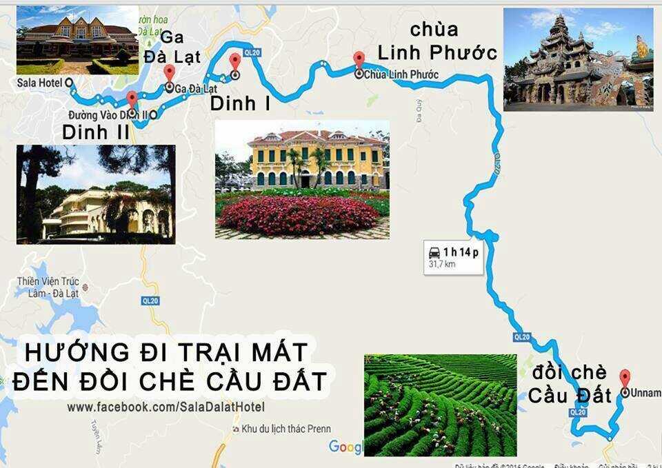 Địa điểm thăm quan Đà Lạt - Hướng đi Trại Mát - Đồi Chè Đầu Đất