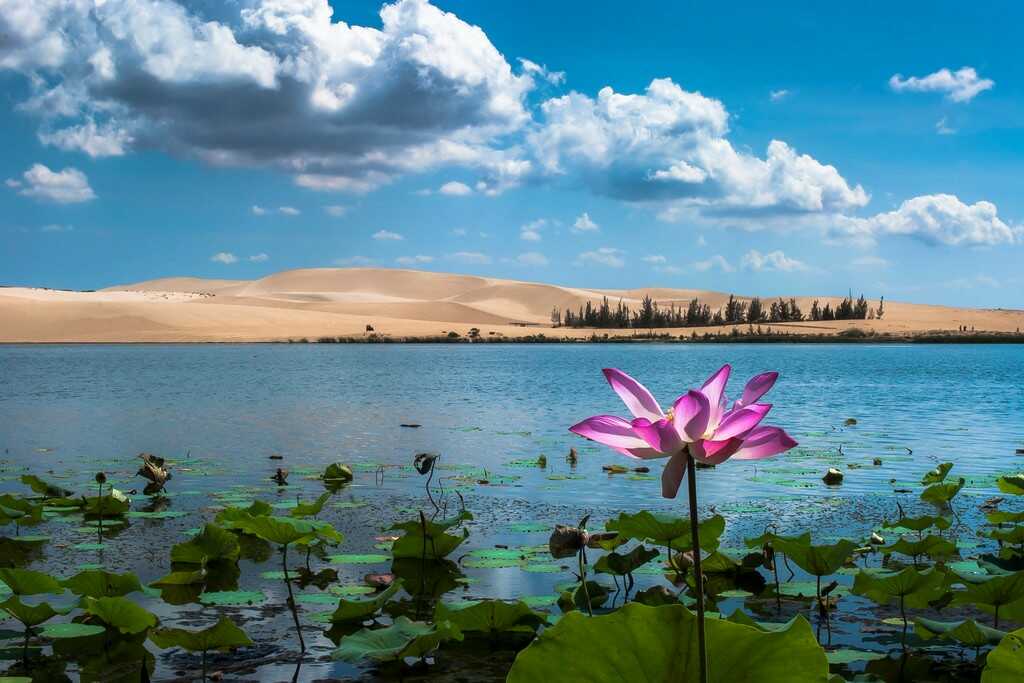 Vẻ đẹp của Hồ nước ngọt uốn lượn bên Đồi Cát