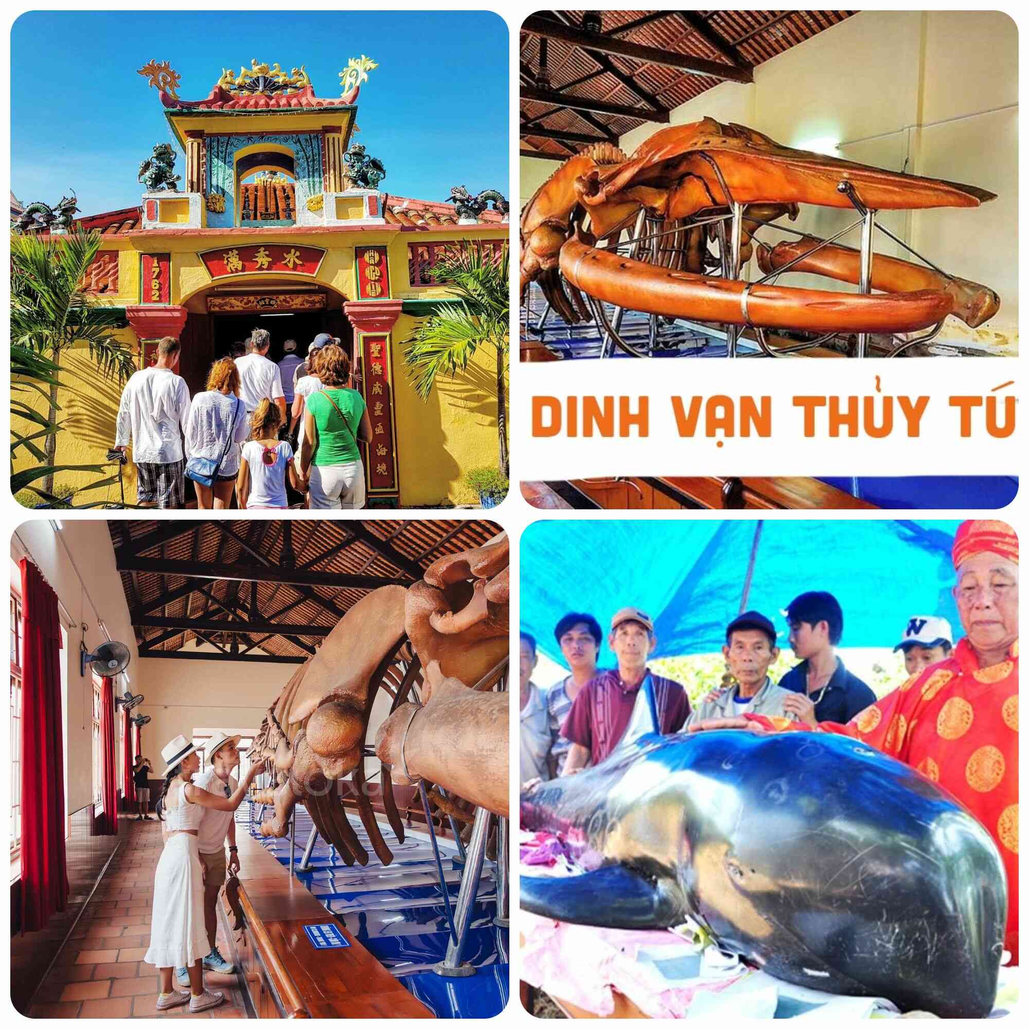 Viếng thăm Vạn Thủy Tú với bộ xương cá voi lớn nhất Đông Nam Á.