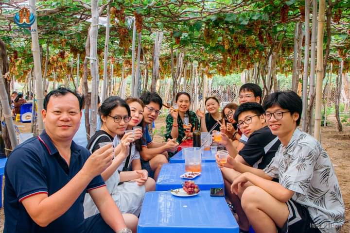 Check-in Vườn Nho, thưởng thức những trái nho tươi ngon