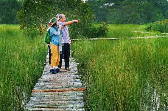 Khu du lịch Cánh đồng bất tận – Mộc Hóa – Long An