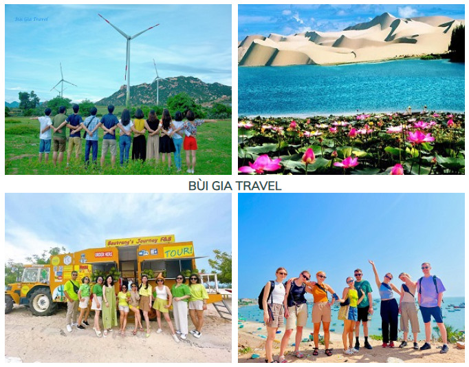 Tour Cánh Đồng Quạt Gió - Đồi Cát Trắng - Xe Nước Vàng - Đồi Cát Bay - Làng Chài Mũi Né